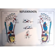 Lámina Reflexología Pies